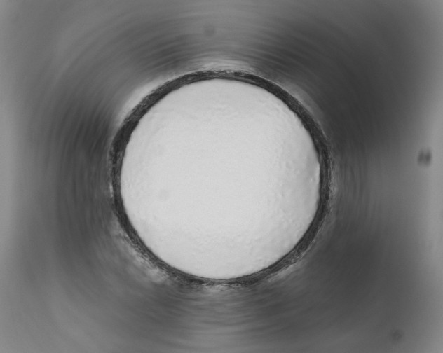 X0000110871022200907161433