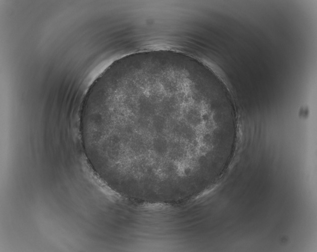 X0000110871023200907161433