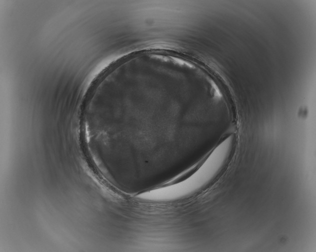 X0000110871024200907161433