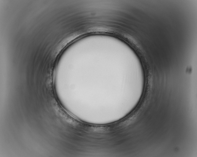 X0000110871025200907161433