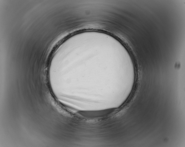 X0000110871029200907161433