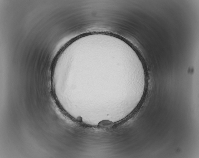 X0000110871030200907161433