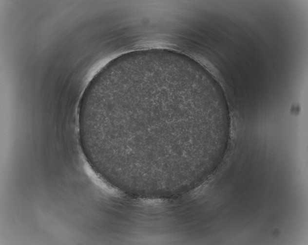 X0000110871031200907161433