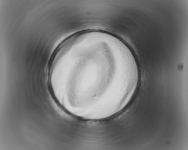 X0000110871032200907161433