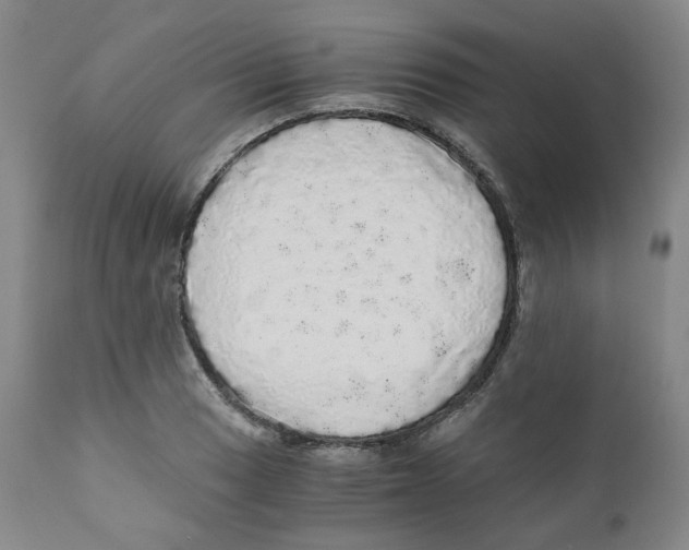 X0000110871033200907161433