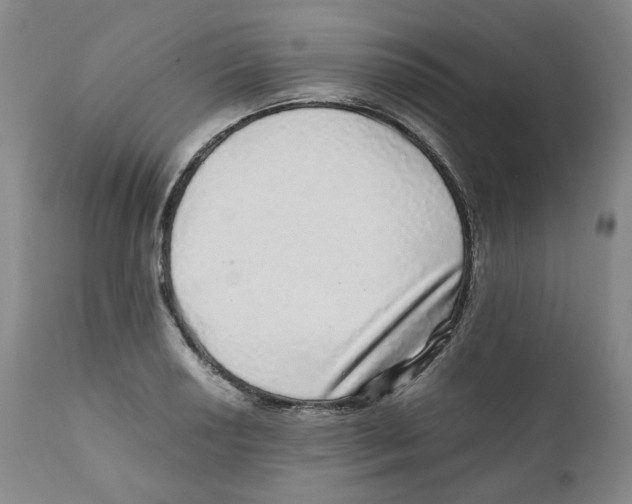 X0000110871034200907161433