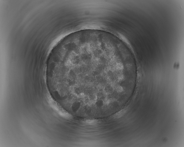 X0000110871035200907161433