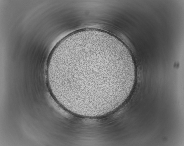 X0000110871036200907161433