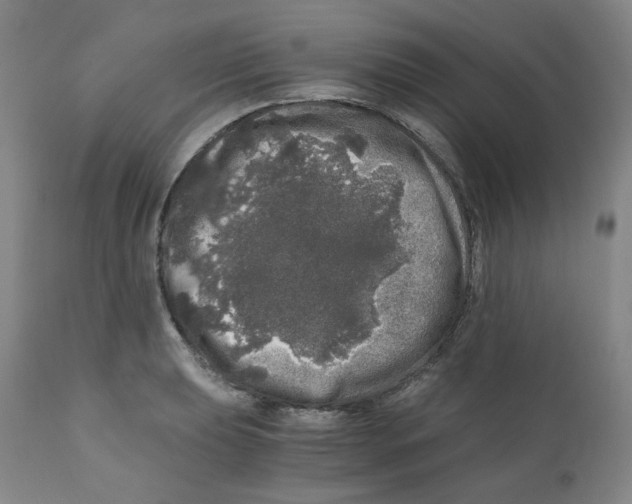 X0000110871039200907161433