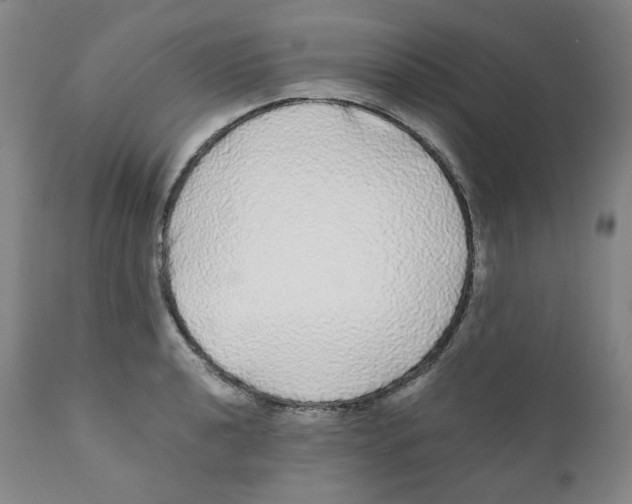 X0000110871040200907161433