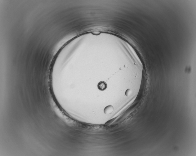 X0000110871042200907161433