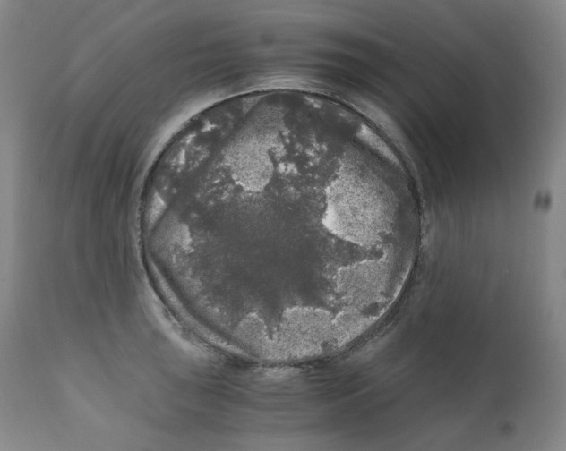 X0000110871043200907161433