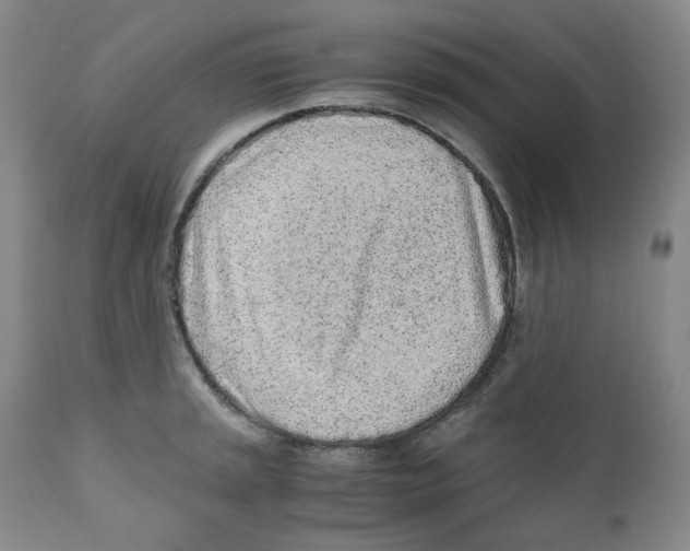 X0000110871045200907161433