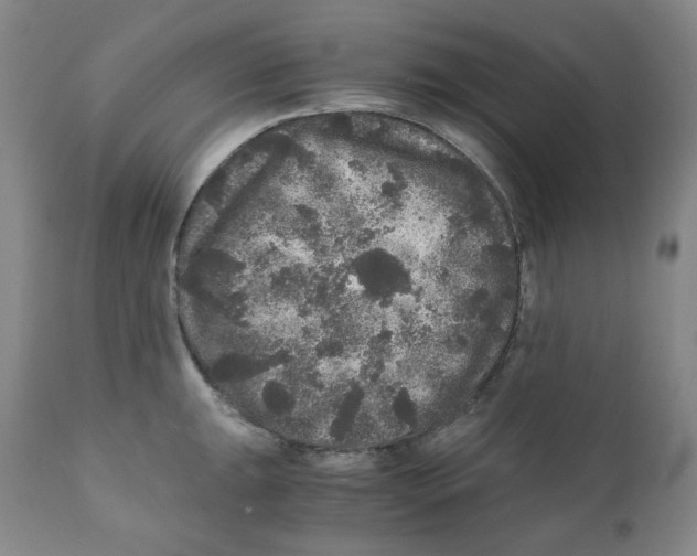 X0000110871047200907161433