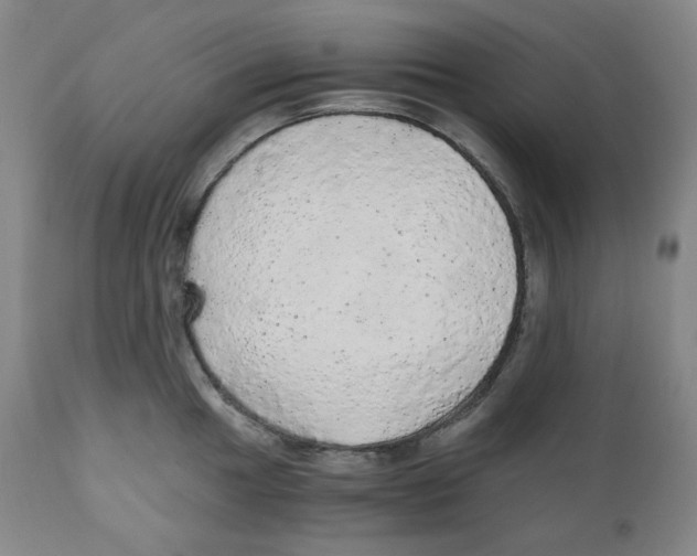 X0000110871049200907161433