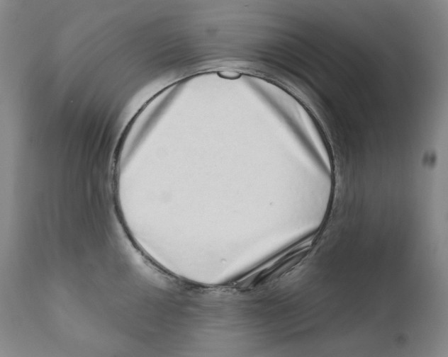 X0000110871050200907161433