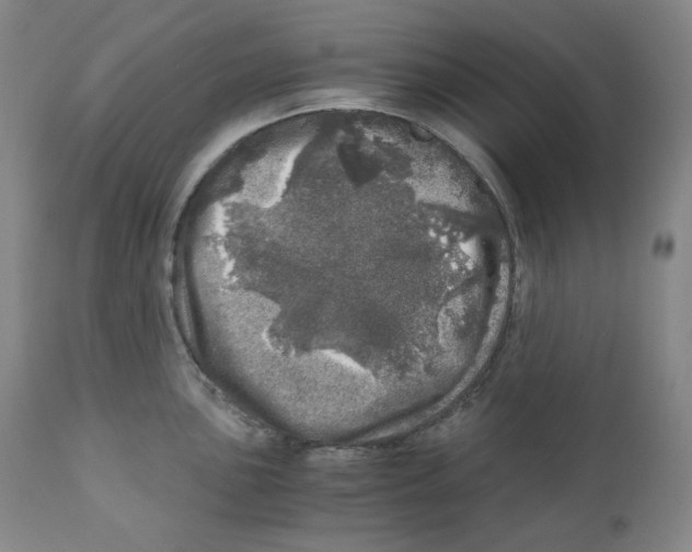 X0000110871051200907161433