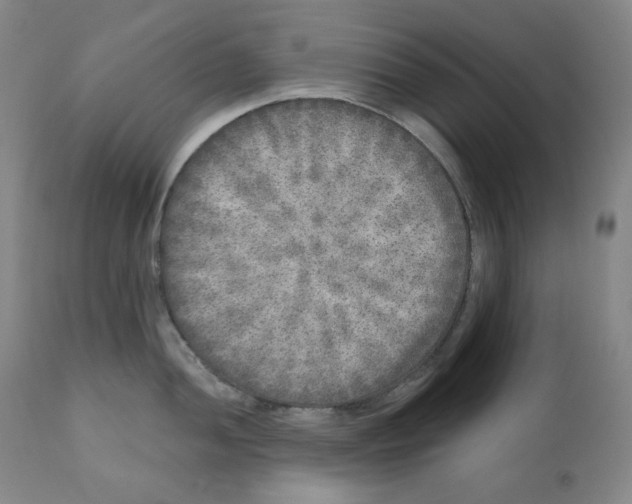 X0000110871052200907161433