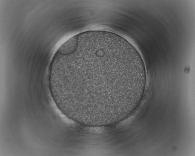 X0000110871053200907161433