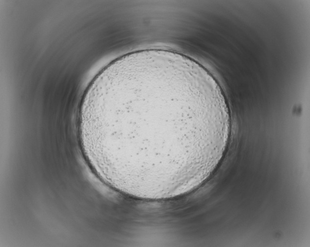 X0000110871054200907161433