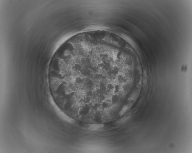 X0000110871055200907161433