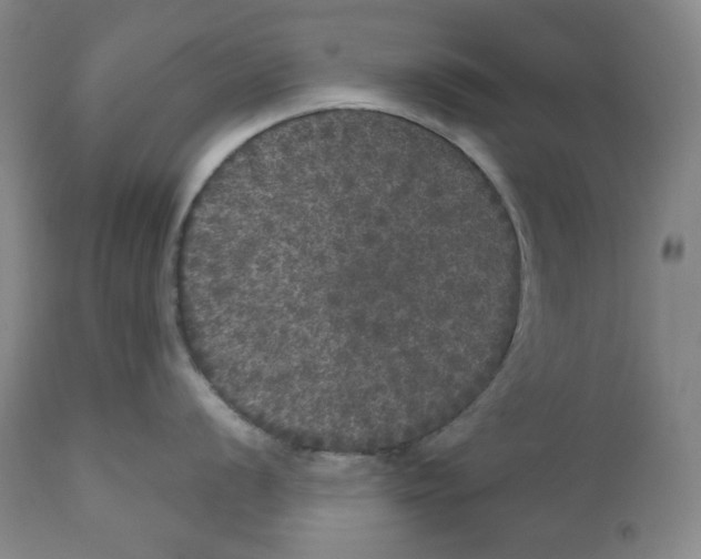 X0000110871056200907161433