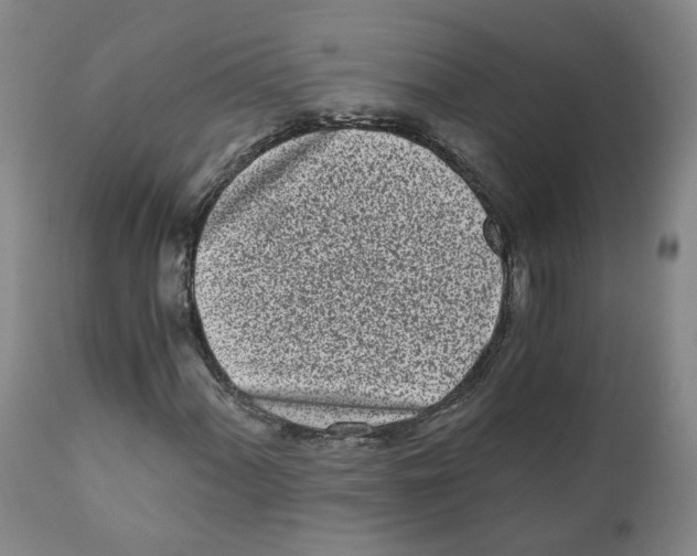 X0000110871060200907161433