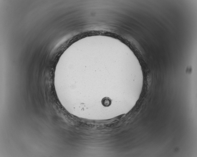 X0000110871064200907161433