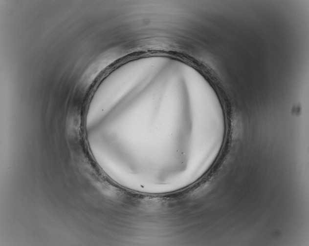 X0000110871065200907161433