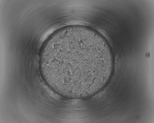 X0000110871067200907161433