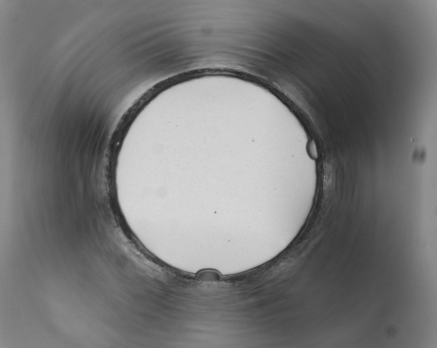 X0000110871068200907161433