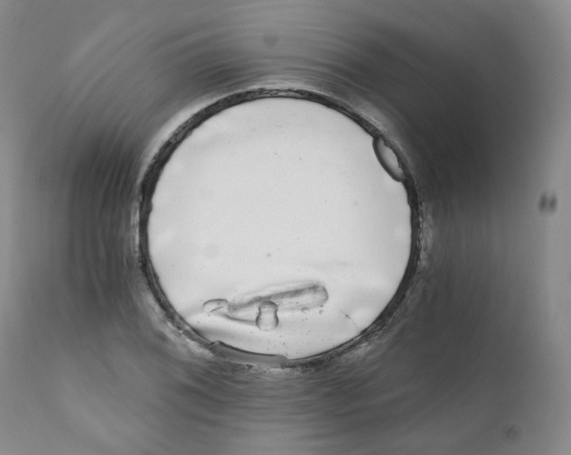 X0000110871076200907161433