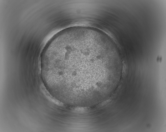 X0000110871078200907161433