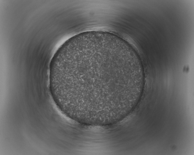 X0000110871079200907161433