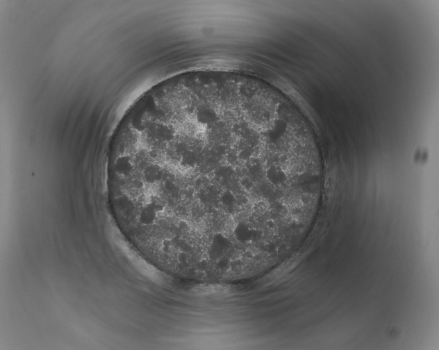 X0000110871083200907161432