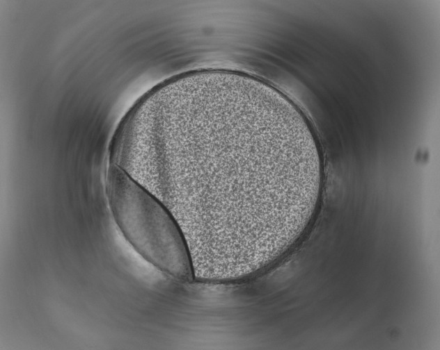 X0000110871084200907161432