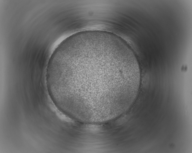 X0000110871086200907161432