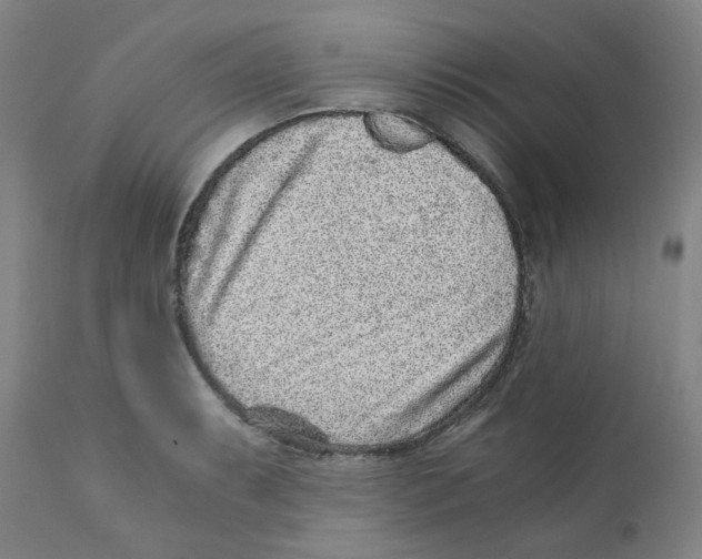 X0000110871087200907161432