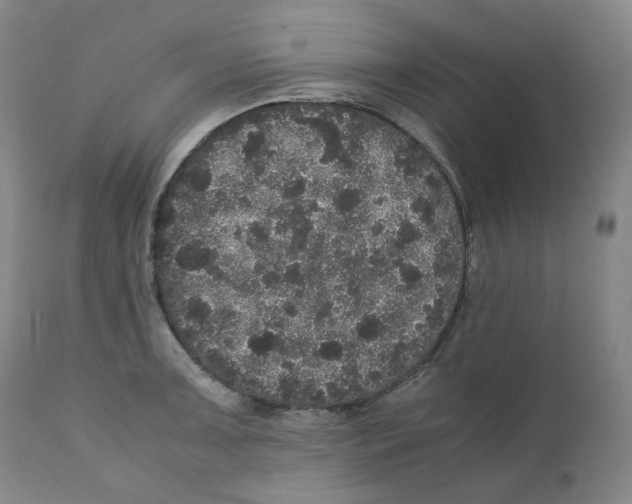 X0000110871091200907161432