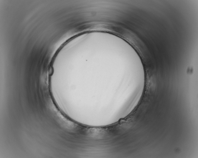 X0000110871092200907161432