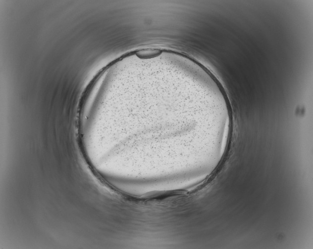 X0000110871093200907161432