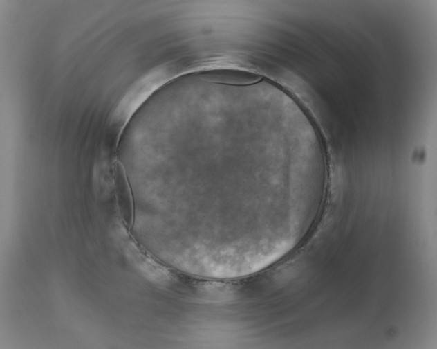 X0000110871097200907161432