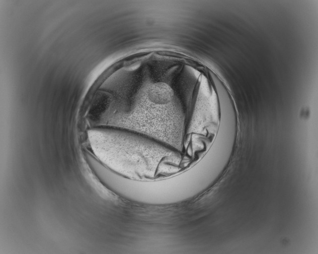 X0000110871098200907161432