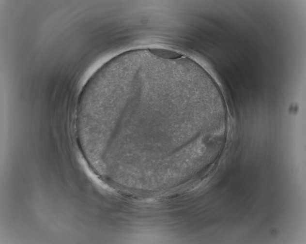 X0000110871101200907161432