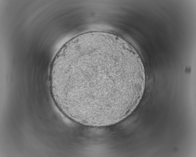 X0000110871103200907161432