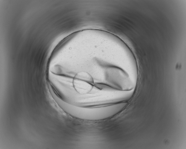 X0000110871104200907161432