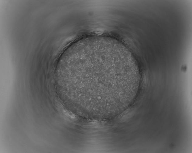 X0000110871105200907161432