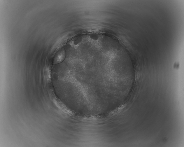 X0000110871106200907161432