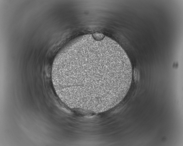 X0000110871107200907161432