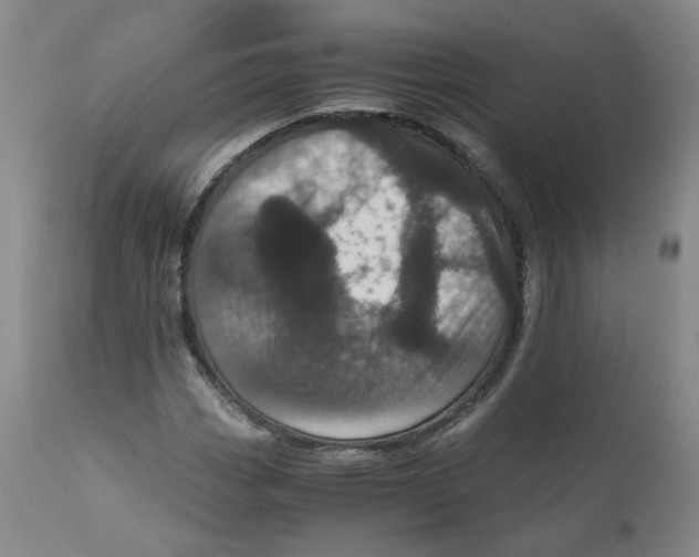 X0000110871113200907161432